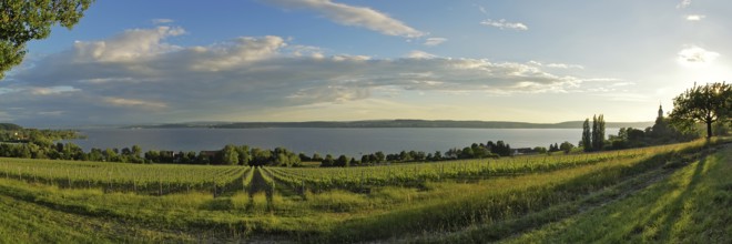 Panorama of Lake Constance with the Birnau pilgrimage church