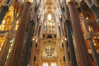 Barcelona, Spain - 15 December 2019: Sagrada Familia interiors - columns, vaults, stained glass and