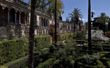 Spain Seville Reales Alcázares Royal Palace 53661