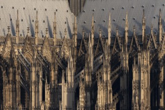 Cologne, view of the cathedral from the right bank of the Rhine, detail of the buttress between