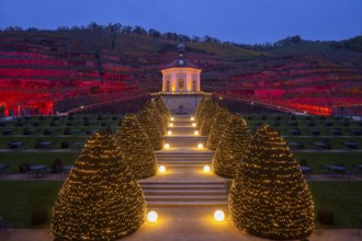 Adventure winery to shine in special splendour from next week Radebeul, 1 November 2024 From 8