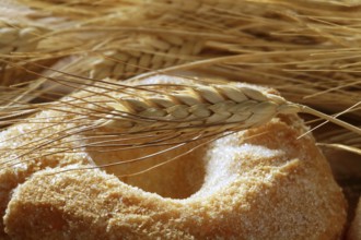 Delicious roll bakery with sugar and wheat ear spikes