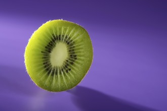 Green Kiwi slice over vivid purple background, copy space
