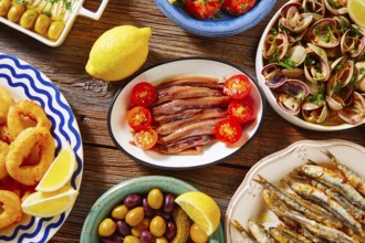 Tapas spanish seafood clams shrimps and fried anchovies fish