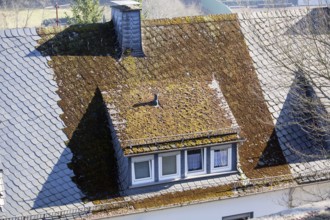 New slate roof without moss and old roof with moss, North Rhine-Westphalia, Germany, Europe, neues