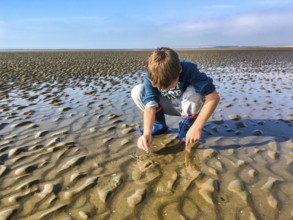 Boy playing in the water at low tide on the beach