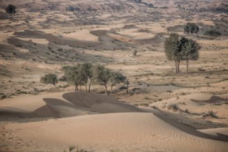 The Desert, Ras al Khaimah, United Arab Emirates, Asia