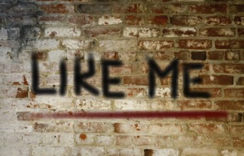 Like Me Concept