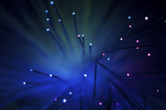 Optical fibers of fiber optic cable. Internet technology.Blue color