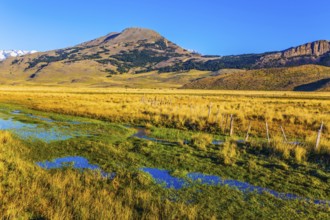 The green grass field is impregnated with streams from underground sources. The concept of exotic