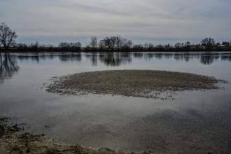 Small sandbank in a calm river with trees and cloudy sky, Danube, Bogen, Lower Bavaria