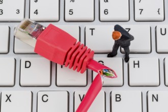 A red network cable of a computer. In the background a computer keyboard statue