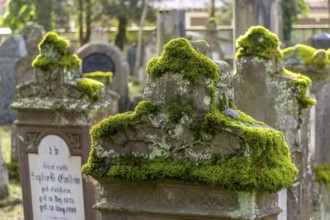 Jewish cemetery with gravestones and grave slabs with green moss, Bad-Buchau, Upper Swabia,