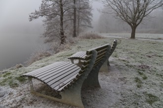 Icy benches in a frosty, foggy park in the early morning, Borken, Münsterland, Germany, Europe