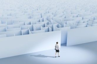 3d illustration of a business woman at the maze