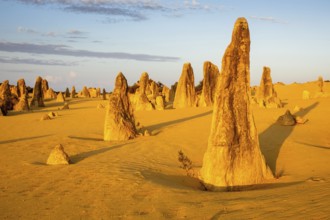 An image of the beautiful Pinnacles Desert in western Australia