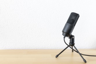 An image of a typical microphone on white background