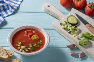 Gazpacho Andaluz is an Andalusian tomato cold soup from Spain with cucumber, garlic, pepper on