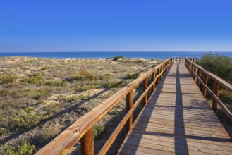 Arenals del Sol Beach dunes in Elche Elx of Alicante in Costa Blanca at Spain