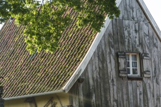 Partial view of an old building with wooden walls and shingle roof, green tree in the foreground,