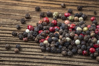 Peppercorns on dark rustic wooden background. Mix of different peppers