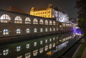 Iconic building of the central market in Ljubljana illuminated at night, Slovenia, Europe