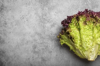 Fresh raw organic farm Lolo Rosso lettuce salad on grey rustic stone background top view, healthy