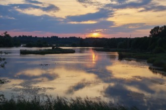 Garstadt bird sanctuary, district of Schweinfurt, Lower Franconia