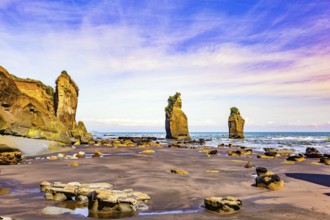 North Island. New Zealand. The Tongaporutu beach on the Pacific coast. Low tide exposed the coastal