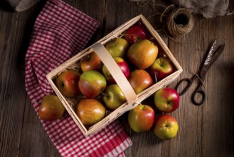 Autumn Apple