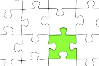 Missing piece of the puzzle