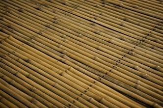 Detail of bamboo surface