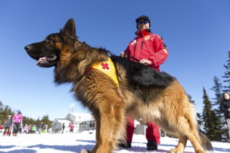Sofia, Bulgaria - January 28, 2016: Saviors from the Mountain Rescue Service at Bulgarian Red Cross