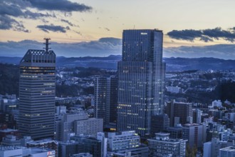 Streets of Miyagi Prefecture and Sendai (from the observatory of the AER). Shooting Location: