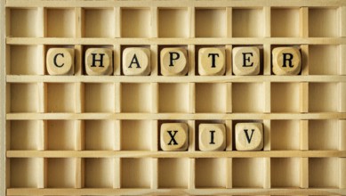 An image of a wooden game with the word chapter fourteen