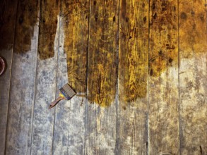 Wooden floor being stained, with a paintbrush resting on the planks