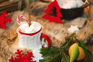 Hot chocolate with marshmallows