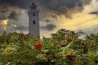 Strib Fyr a lighthouse in Denmark