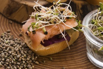 Cannabis spouts dish. superfoods