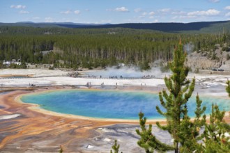 Grand Prismatic Spring Pool In Yellowstone National Park, Wyoming, USA, USA, North America