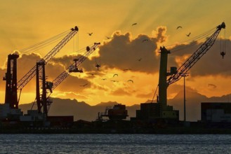 Crane, cranes, harbour, silhouettes, economic growth, economy, upswing, sunset