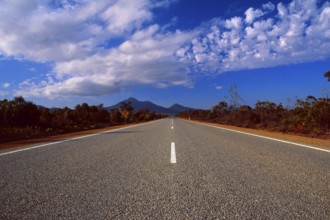 Long way ahead? Where does this road takes you? Asphalt road in Queensland, Australia, Oceania