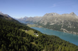 Marvellous Swiss Alpine panorama from Corvatsch to the glacial lakes of the Upper Engadine