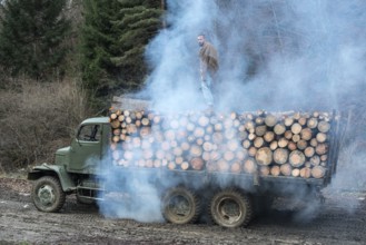 Young man on vintage truck with logs in the forest