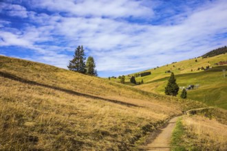 The natural landscape of the Alps di Siusi. The Dolomites - World Natural Heritage. The concept of