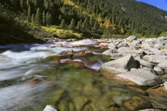 Pastoral in the Alpine mountain valley in Austria. Rapid mountain stream. Cascades of cold water at