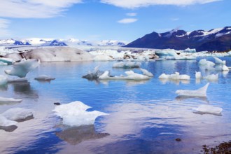 Cold, clear July day. Bizarre icebergs and floating ice floes reflected in the smooth cold water of