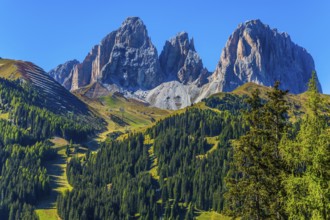 The coniferous forests at the foot of limestone and dolomite rocks. The most picturesque route in