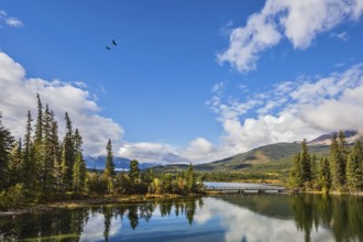 Transparent autumn morning in Jasper National Park. The woody small island in Pyramid Lake