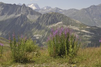 Mountain panorama of Savoy near Valloire